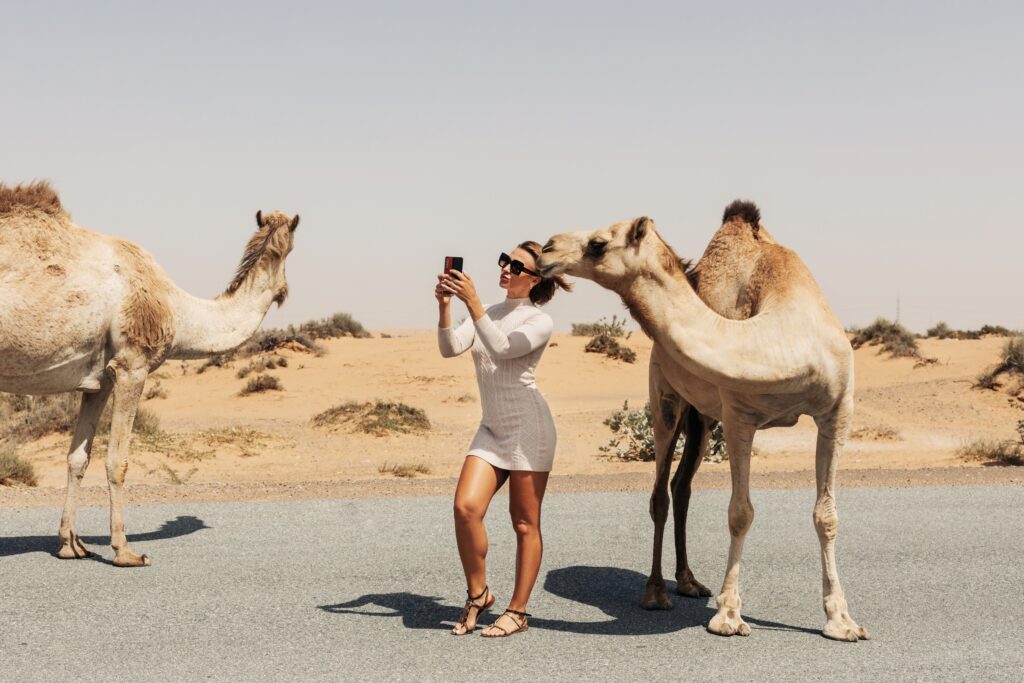 Stars & Desert Safari Experience in Hurghada, Egypt – photo 3