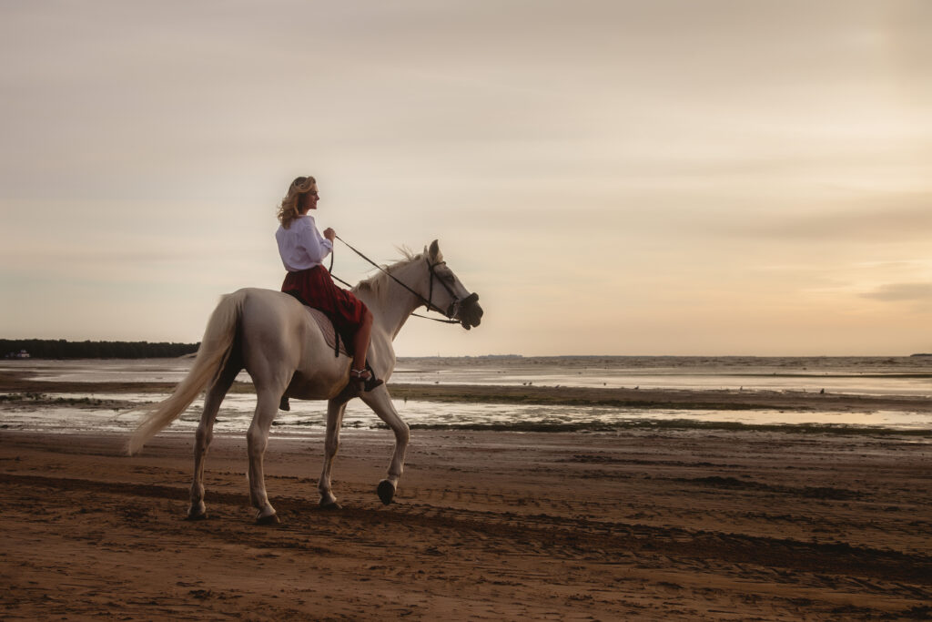 Horse Riding on the Sea – Hurghada, Egypt