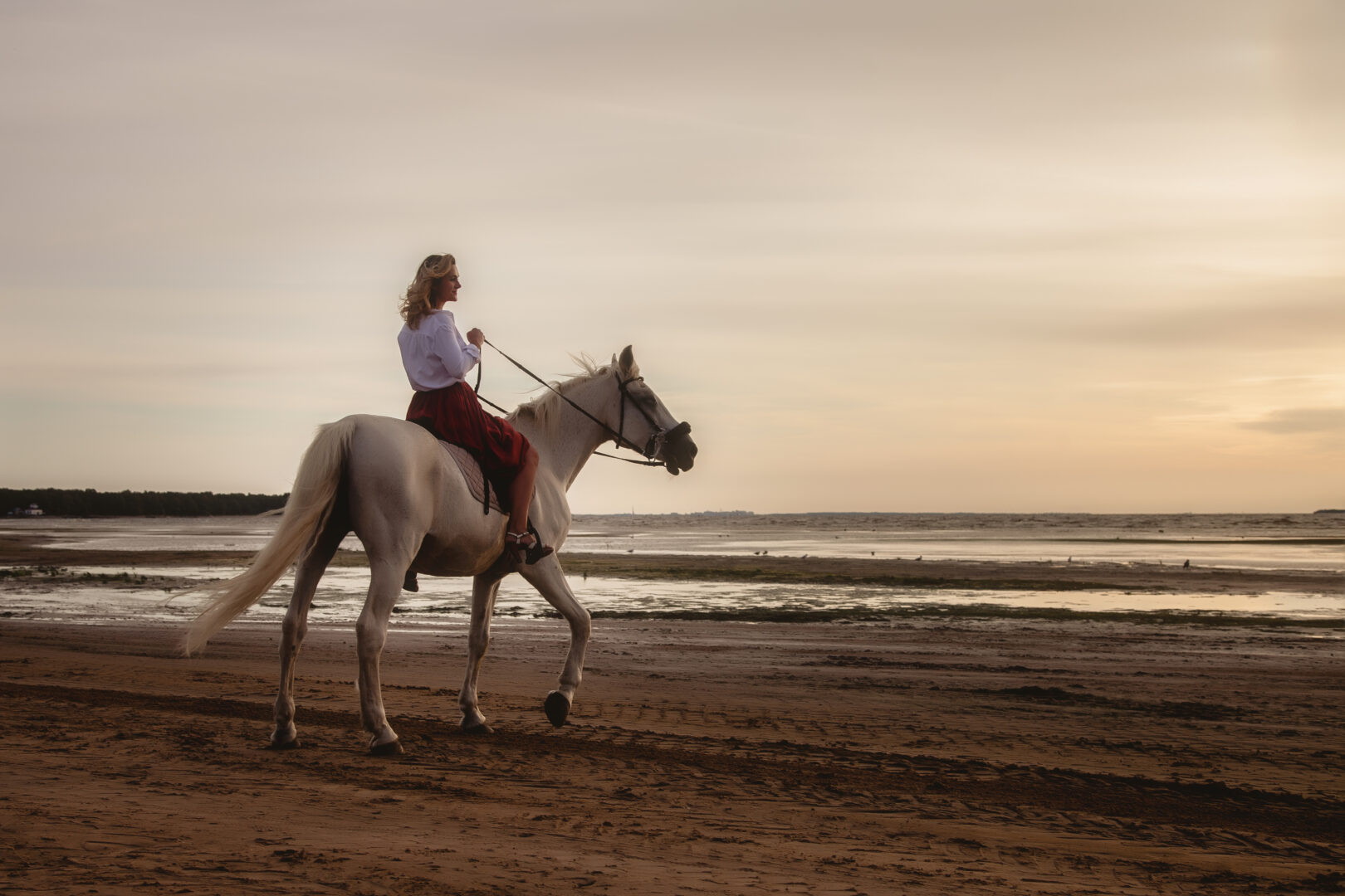 Horse Riding on the Sea – Hurghada, Egypt