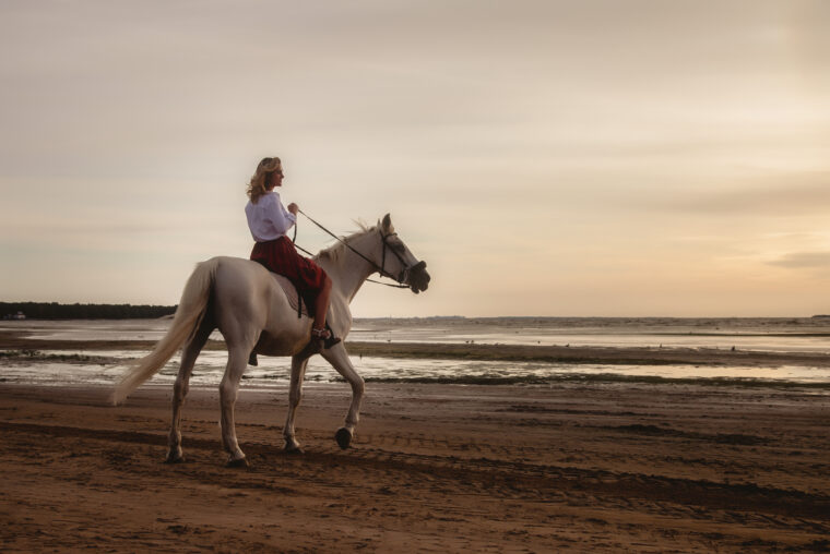 Horse Riding on the Sea – Hurghada, Egypt