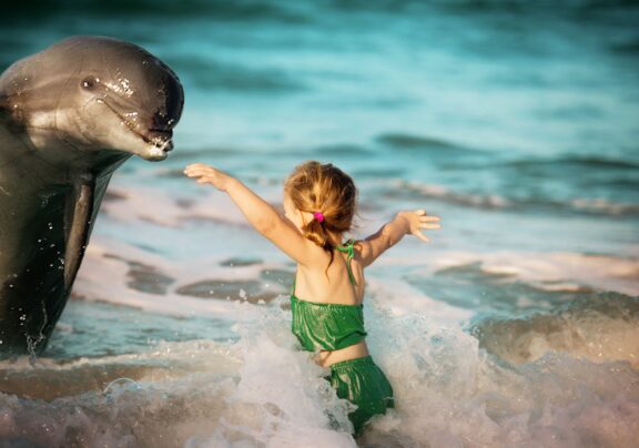 Fun – All trips